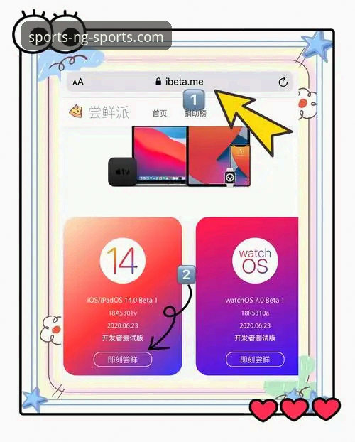 NG体育APP下载iOS版实用指南：专业用户的高效安装与体验优化技巧